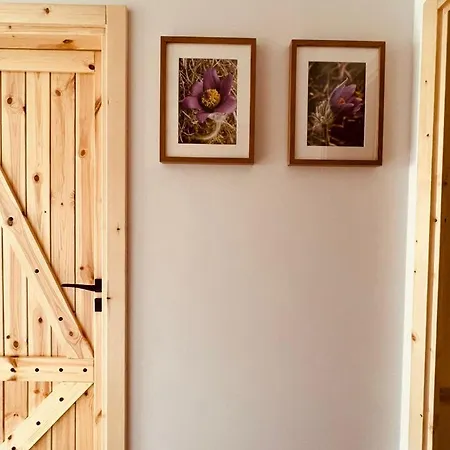 Sasanka - górski apartament z ogródkiem Zakopane Zewnętrze zdjęcie
